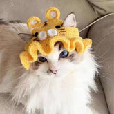 Best Cat Hat Funny Headgear Cute Cat Hat Kittens Knitted Hat Pet