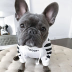 Fashion Dog Hoodie Winter Pet Dog Clothes For Dogs Coat Jacket Cotton Ropa Perro French Bulldog Clothing For Dogs Pets Clothing