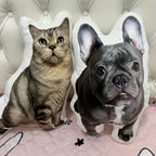 Winter New Pet photo plush pillow personalized animal shaped cushion gift suitable for gifts