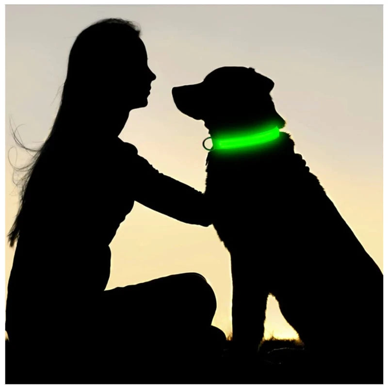 3 Modes Dogs Luminous Charge Collars Led Usb Cat Dog Collar Detachable Night Led Glow Dog Loss Prevention Collar Pet Accessories