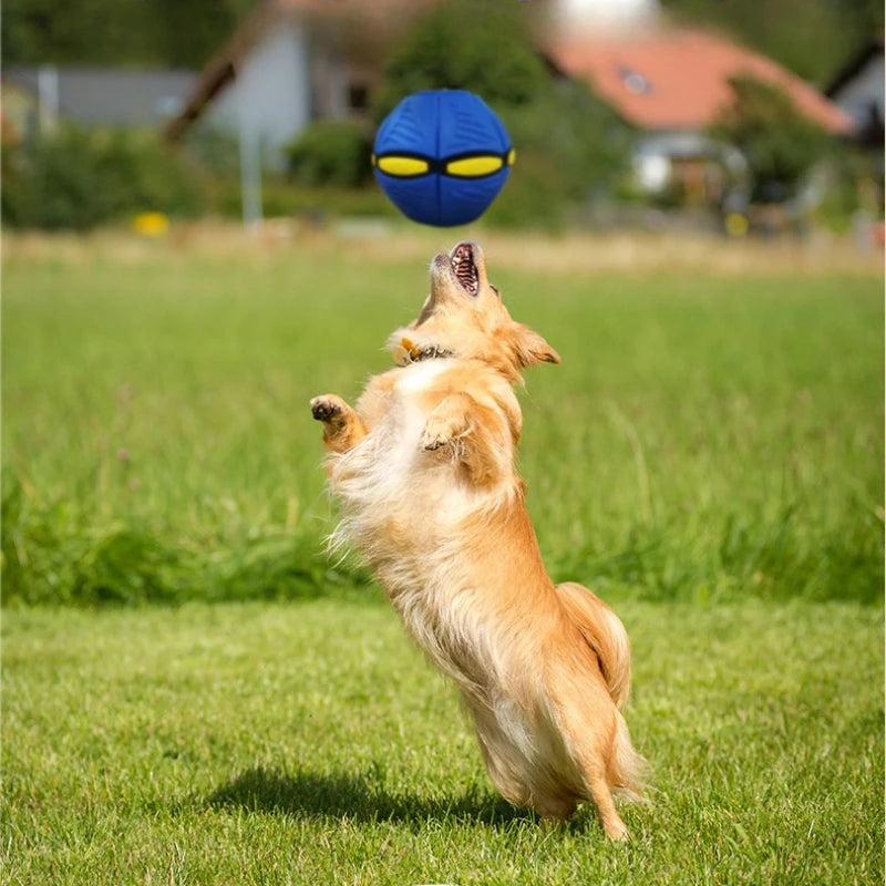 Flying Saucer Bouncing Ball Is A Durable Elastic and Fun Dog Pet Toy Suitable for Outdoor Activities and Exercise