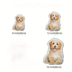 Winter New Pet photo plush pillow personalized animal shaped cushion gift suitable for gifts