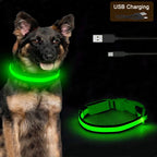 3 Modes Dogs Luminous Charge Collars Led Usb Cat Dog Collar Detachable Night Led Glow Dog Loss Prevention Collar Pet Accessories