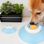 Food Dispenser For Puppy