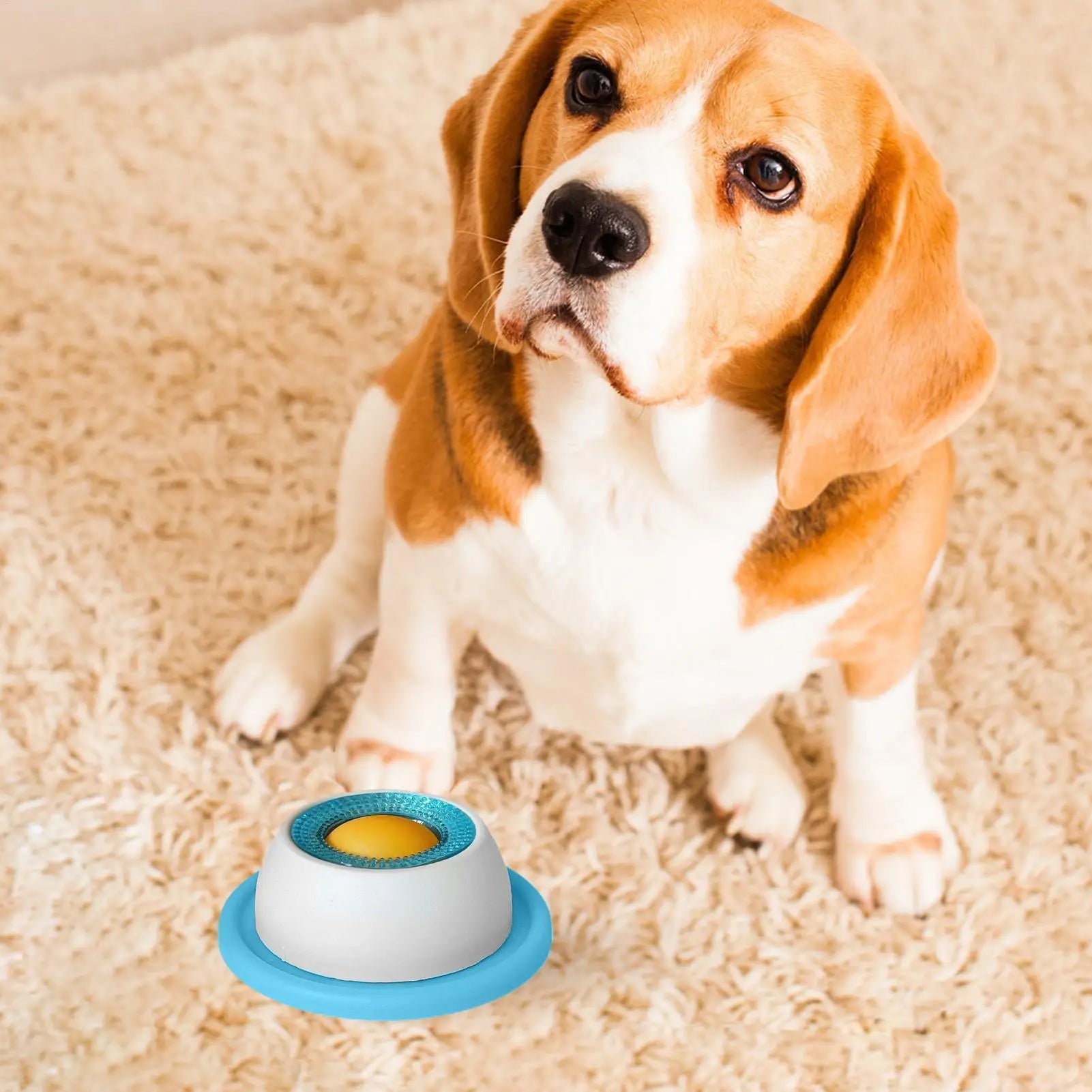 Pet Feeding Accessories