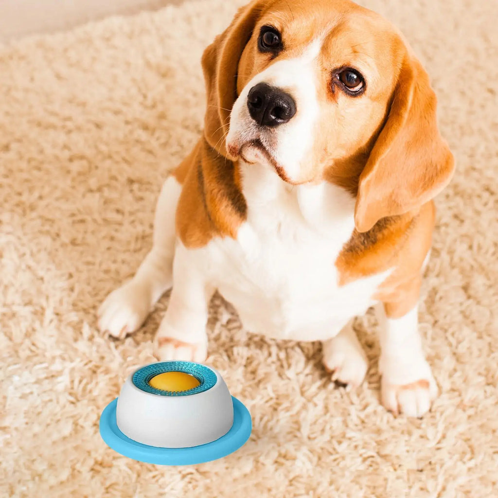 Pet Feeding Accessories