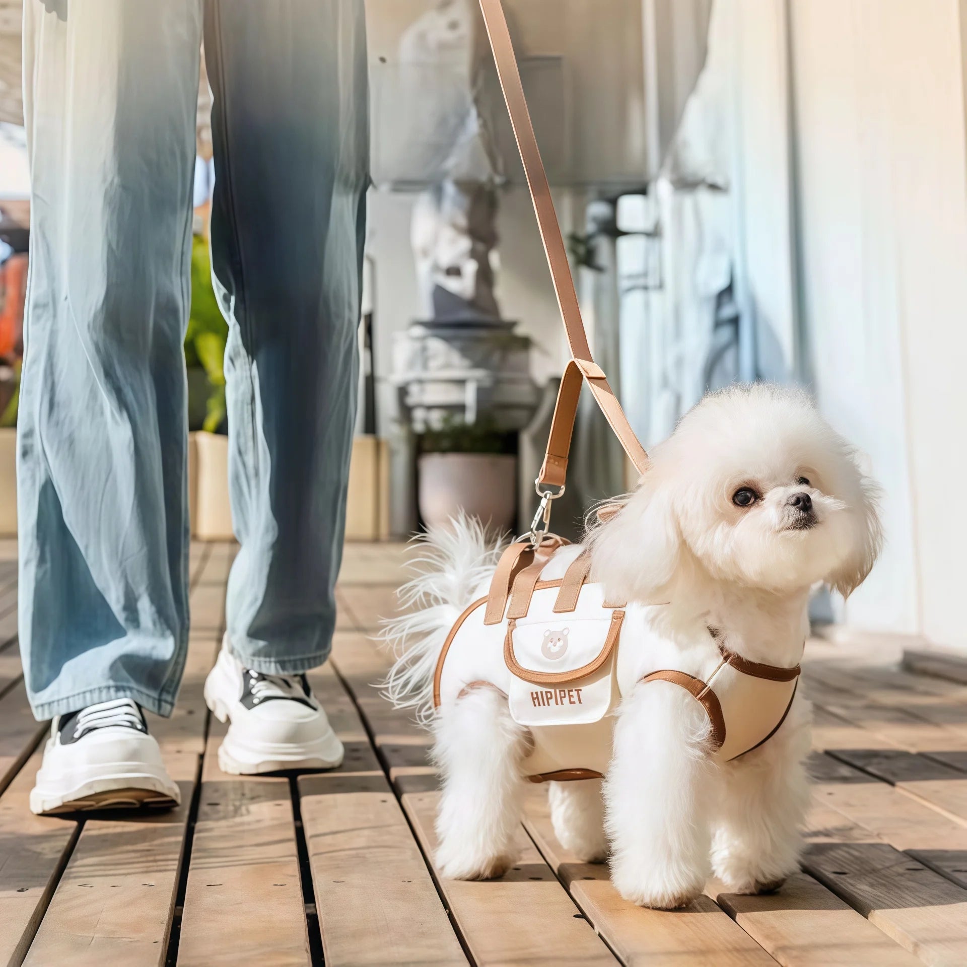 Dog Lift Harness Backpack for Small Dogs Sling Carrier with Handle Leash Pet Carrying Box Outdoor Walking Cats Carrying Supplies
