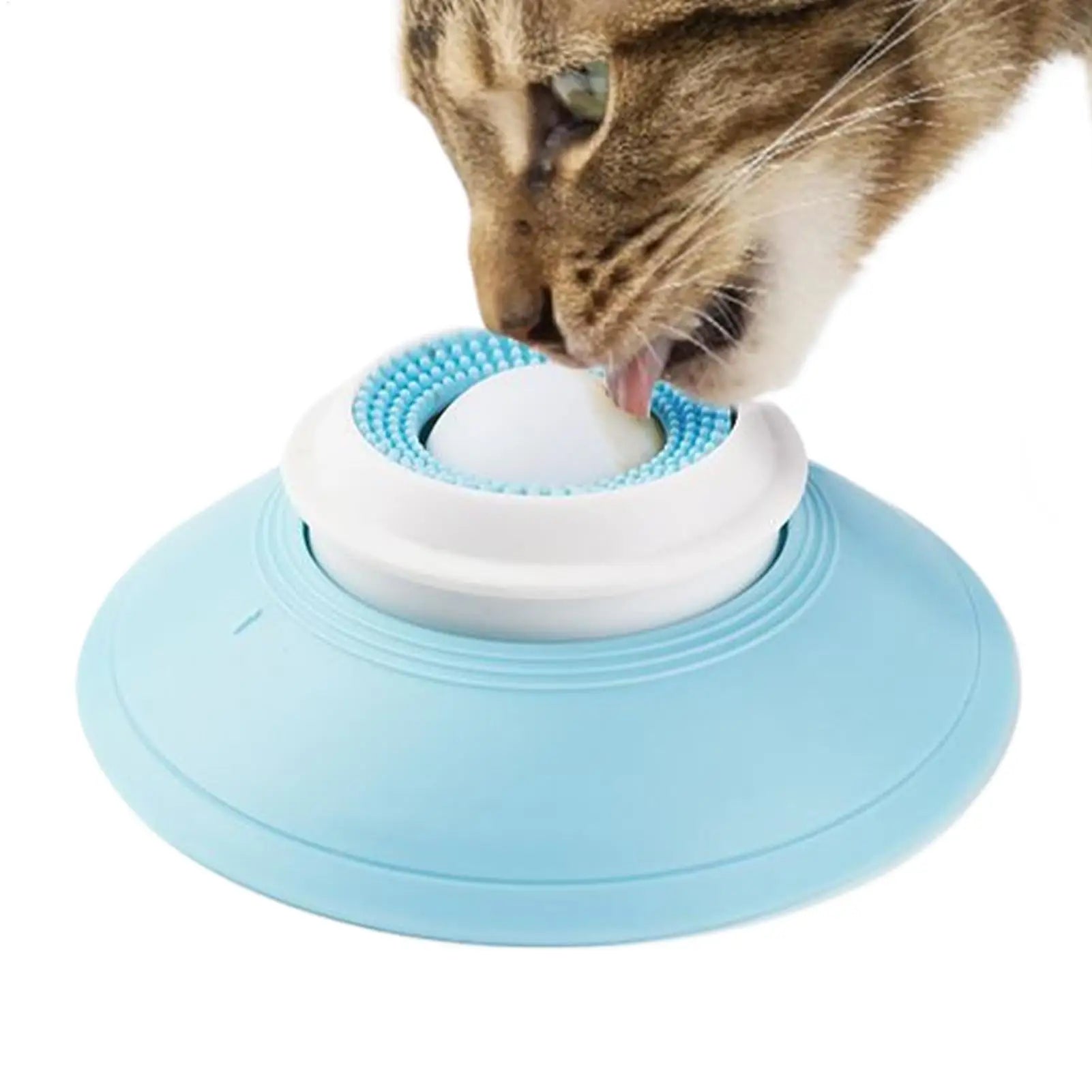 Food Dispenser For Puppy
