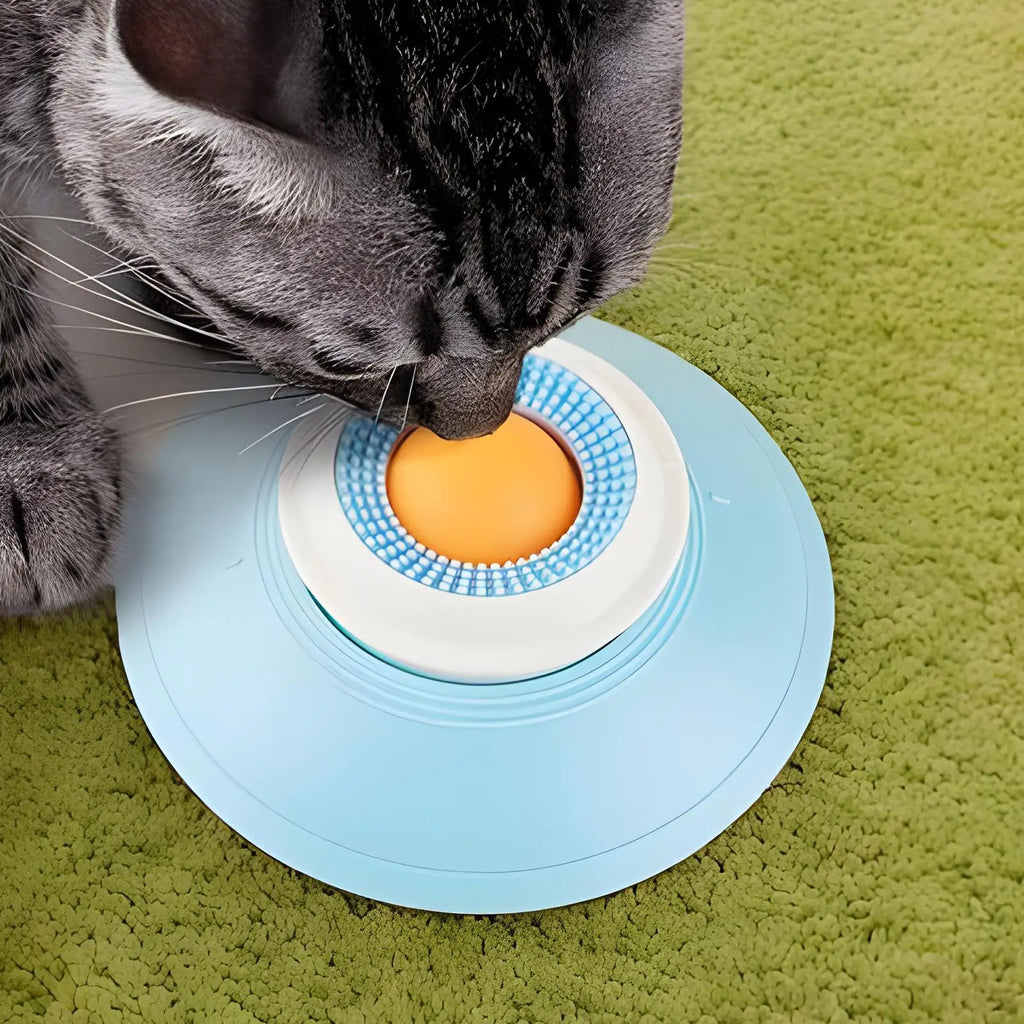Food Dispenser For Puppy