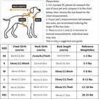 1pc  Fashion Printed Pet T-shirt