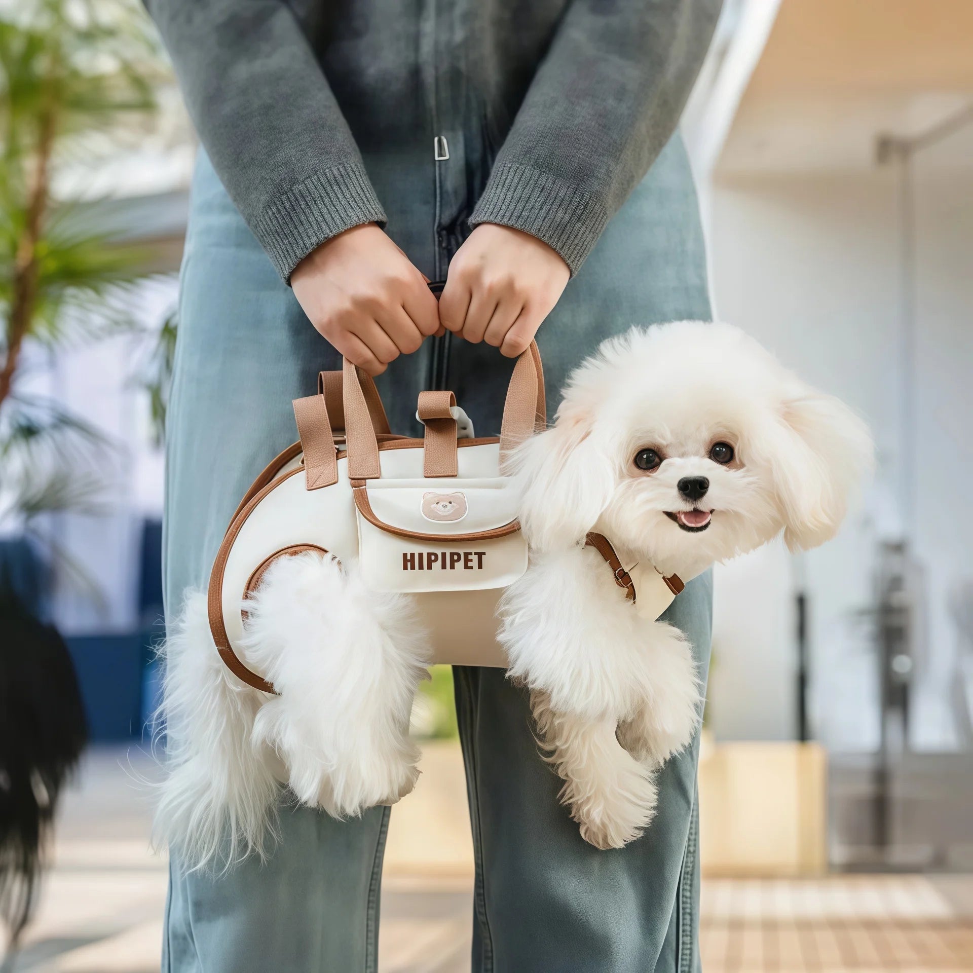 Dog Lift Harness Backpack for Small Dogs Sling Carrier with Handle Leash Pet Carrying Box Outdoor Walking Cats Carrying Supplies