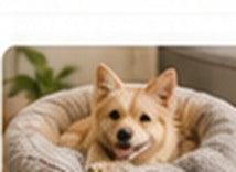 Happy All Pet Corner customer pet