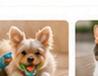 Happy All Pet Corner customer pet