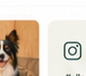 Happy All Pet Corner customer pet
