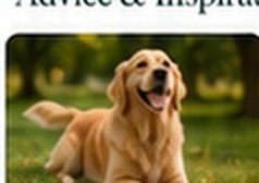 Happy dog outdoors